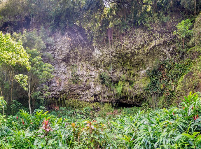 ハワイ・カウアイ島のおすすめ観光スポット「シダの洞窟」