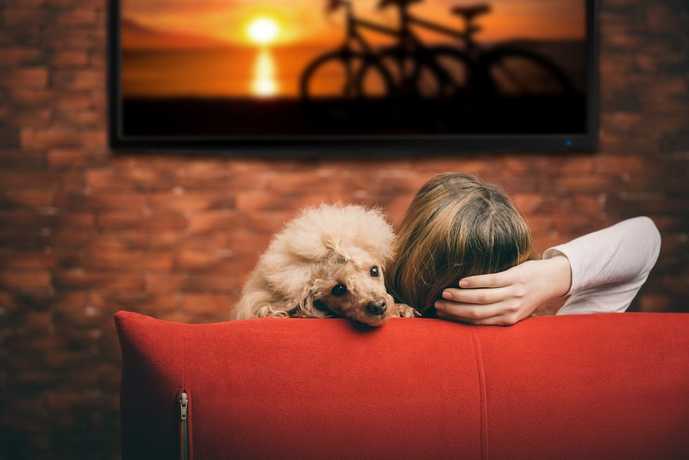 ウェアラブルネックスピーカーのおすすめ5選。“音楽を着る”端末とは？