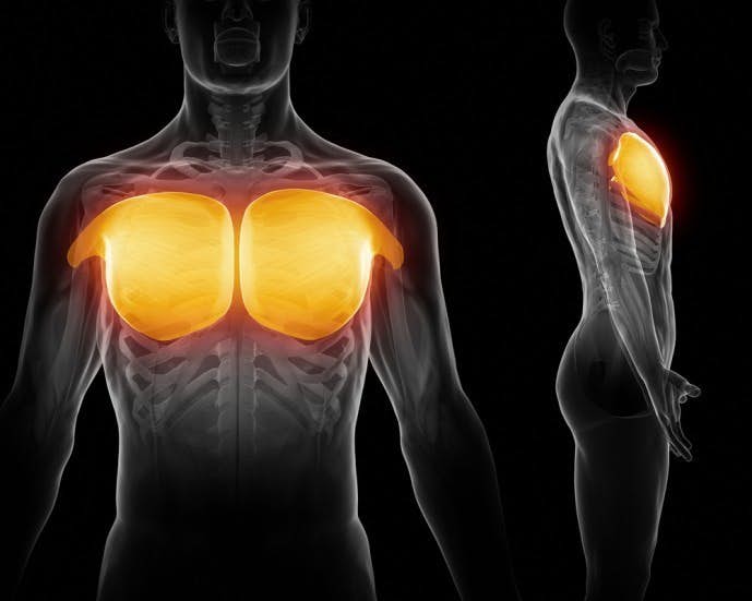 大胸筋の効果的な鍛え方 短期間で分厚い胸板を作る筋トレ方法19選 Smartlog