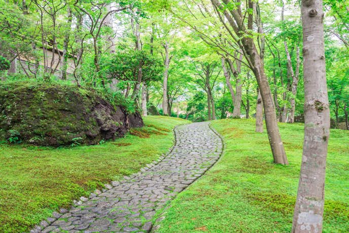 箱根でおすすめの観光地は箱根美術館