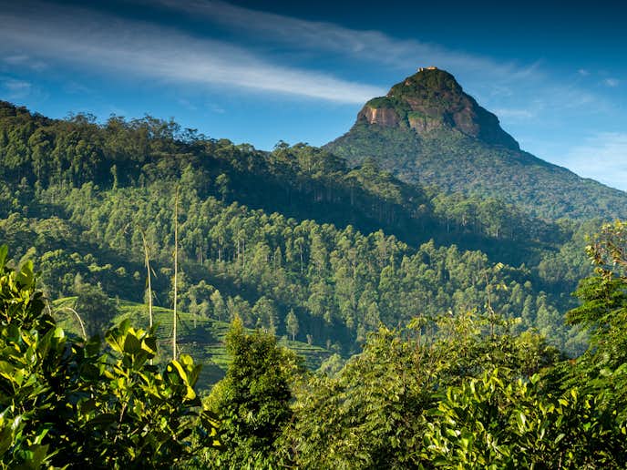 スリランカでおすすめの観光地は聖山アダムス・ピーク