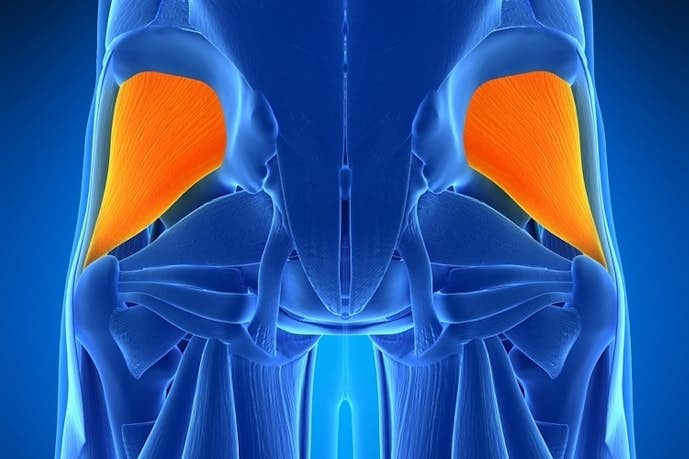 お尻のストレッチ方法 おしりのコリを柔らかくする効果的な柔軟体操とは Smartlog お尻のストレッチ方法 おしりのコリを柔らかくする効果的な柔軟体操とは Smartlog