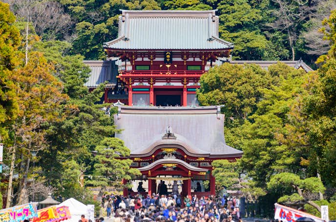 鎌倉でおすすめの観光地は鶴岡八幡宮