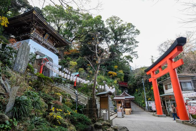 江ノ島でおすすめの観光地は江島神社