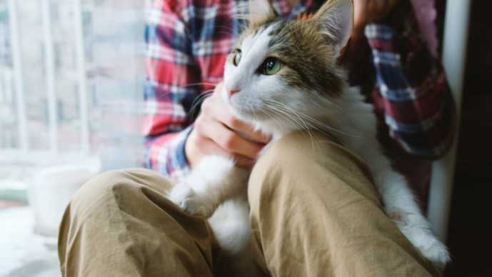 いますぐ実践！女子が胸キュンする男...