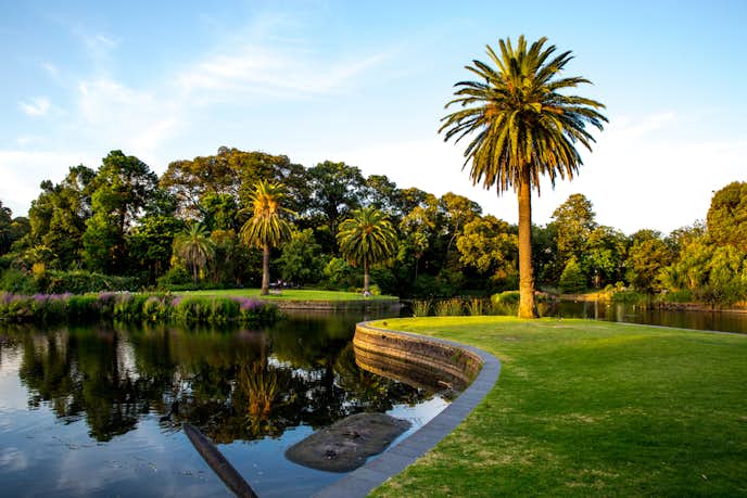 メルボルンでおすすめの観光地はメルボルン王立植物園