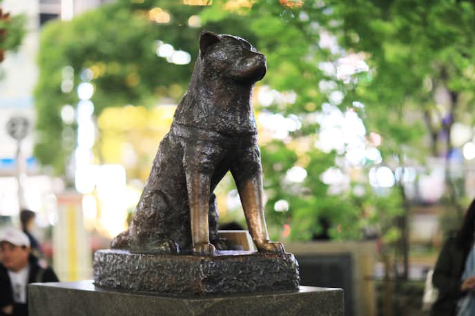 渋谷でおすすめの観光地は渋谷駅前 忠犬ハチ公像