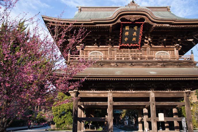 鎌倉でおすすめの観光地は建長寺