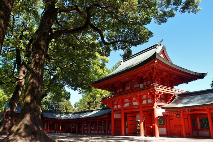 大宮でおすすめの観光地は武蔵一宮 氷川神社