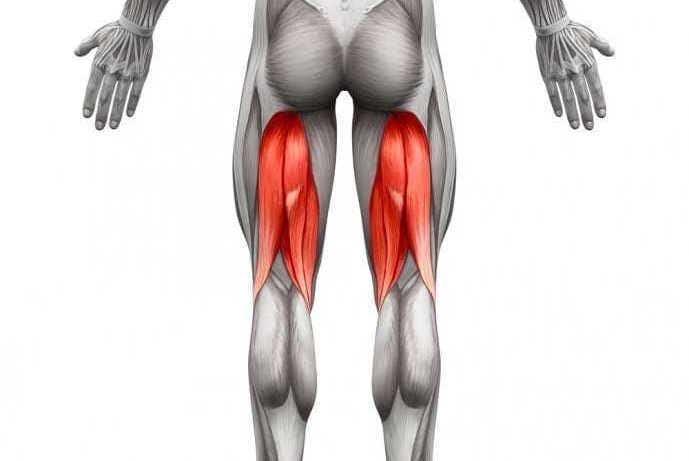 太もも痩せに効果的な筋トレメニュー 足を細く 美脚 にする鍛え方とは Smartlog
