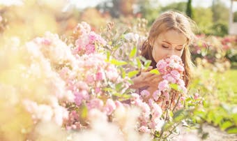 おとなしい女性がモテる魅力とは 男が守りたくなる男性心理を大公開 Smartlog