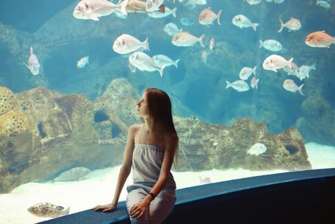 水族館デートへ付き合う前に行くと恋が加速する 7つの理由 Smartlog