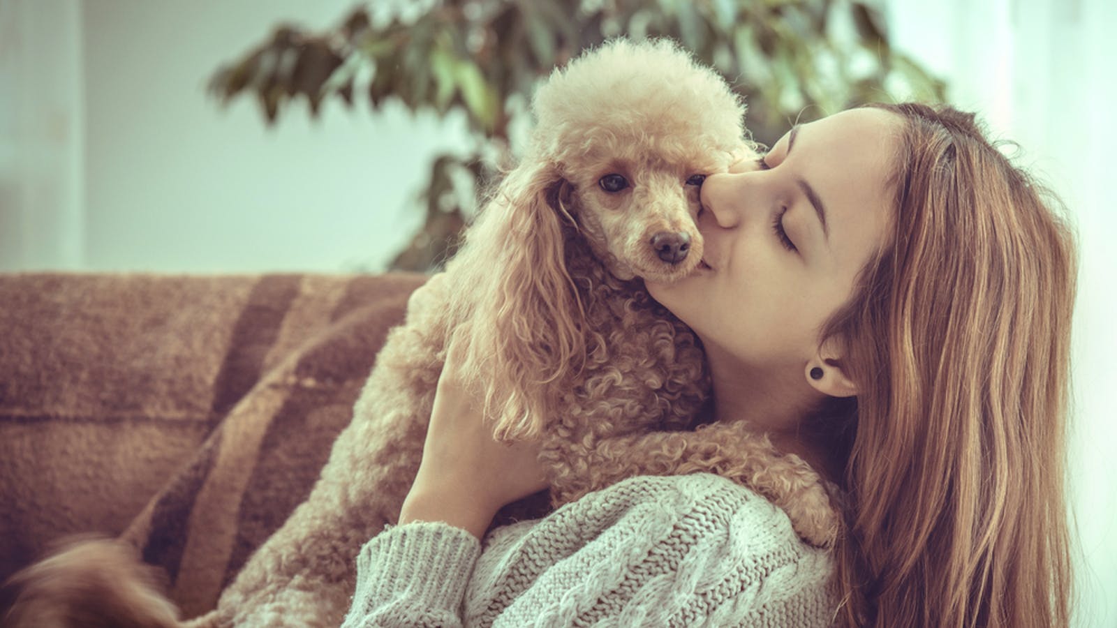 小動物系女子とはどんな人 かわいくてモテる小動物系になる方法とは Smartlog 小動物系女子とはどんな人 かわいくてモテる小動物系になる方法とは Smartlog