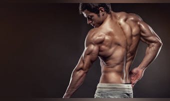 背筋の効果的な筋トレメニュー 背中の筋肉を部位別に鍛えるトレーニング方法とは Smartlog 背筋の効果的な筋トレメニュー 背中の筋肉を部位別に鍛えるトレーニング方法とは Smartlog