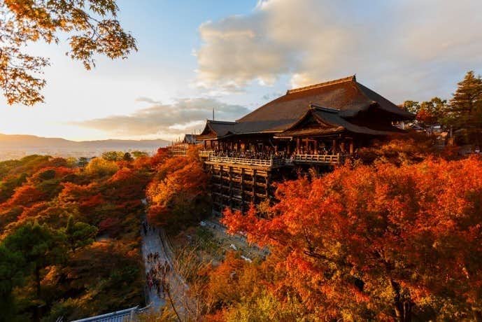 彼女と訪れたい秋の京都旅行