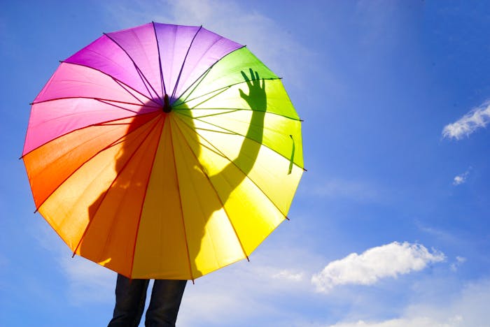 日傘の人気おすすめブランドランキング 焼けない最強レディース傘とは Smartlog