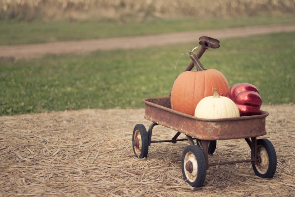 キャリーカートのおすすめ21選 折りたたみ式など人気モデルを厳選 Smartlog キャリーカートのおすすめ21選 折りたたみ式など人気モデルを厳選 Smartlog