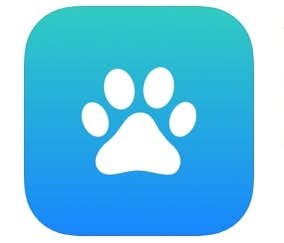 歩数計アプリおすすめランキングtop15 無料で正確な人気アプリとは Smartlog