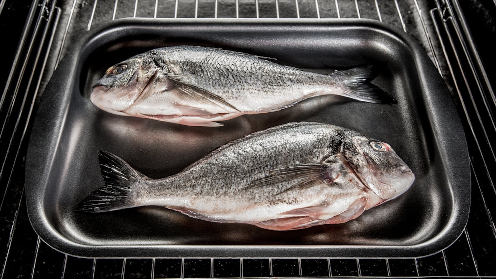 23年1月 魚焼き器 フィッシュロースター のおすすめ12選 掃除が楽な人気アイテムとは セレクト 23年1月 魚焼き器 フィッシュロースター のおすすめ12選 掃除が楽な人気アイテムとは セレクト