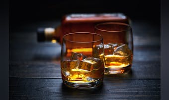 ハブ酒の人気おすすめランキング|気...