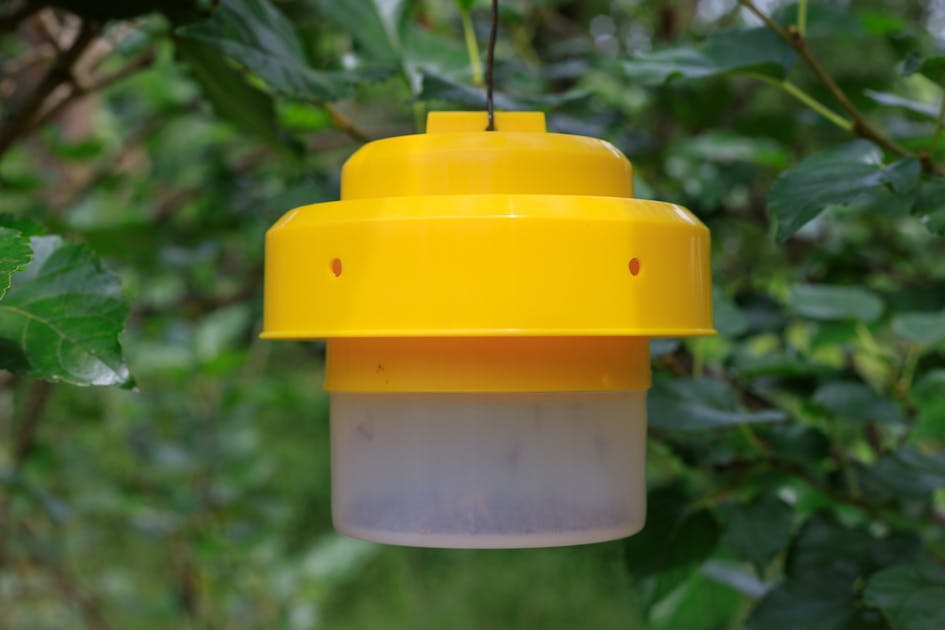 コバエ取りの人気おすすめランキング21 コバエ駆除に効果的な最強アイテムを比較 Smartlog コバエ取りの人気おすすめランキング21 コバエ駆除に効果的な最強アイテムを比較 Smartlog