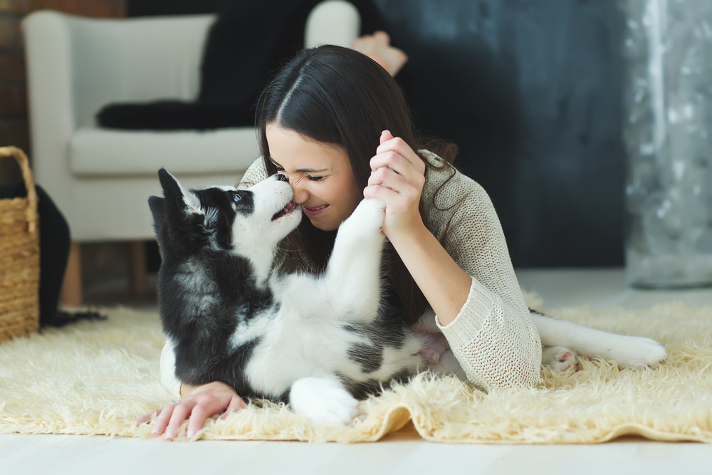 彼女 安い ペットみたいにかわいい