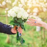 白いバラの花言葉とは?バラの本数で異なる花...