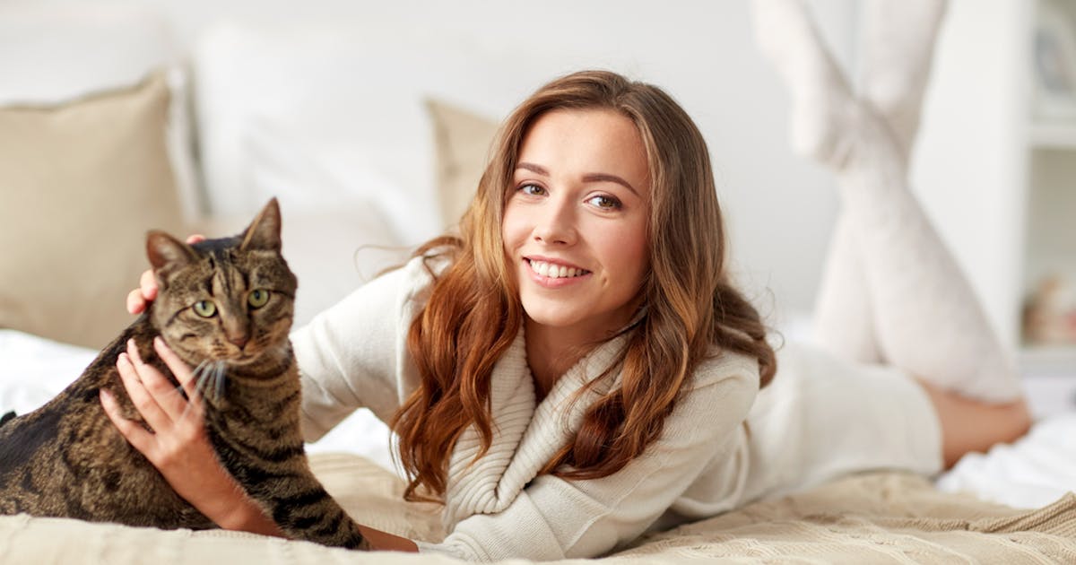 猫顔女子の特徴とは 男ウケ抜群の かわいい 猫顔メイク方法を紹介 Smartlog 猫顔女子の特徴とは 男ウケ抜群の かわいい 猫顔メイク方法を紹介 Smartlog