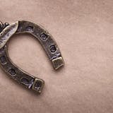 ホースシューネックレスの人気ブランド20選...