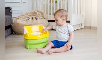 【種類別】おまるのおすすめ商品特集...