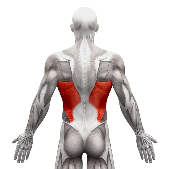 背筋の効果的な筋トレメニュー 背中の筋肉を部位別に鍛えるトレーニング方法とは Smartlog