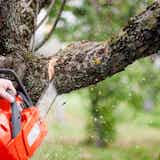 電動ノコギリのおすすめ18選|初心者も使いやすい人気の小型モデルとは