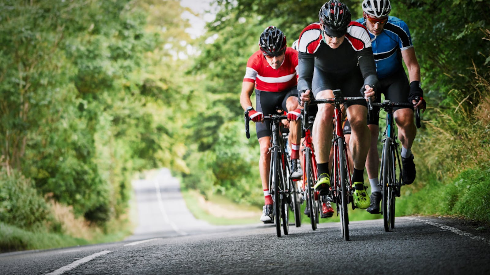 ロードバイクの人気メーカー49選 初心者におすすめのモデルとは セレクト ロードバイクの人気メーカー49選 初心者におすすめのモデルとは セレクト