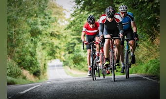 ロードバイクの人気メーカー49選|...