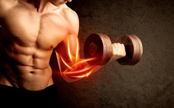 筋トレ 効果的なバルクアップ方法 筋肉を育てるトレーニングとは Smartlog