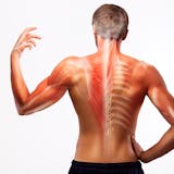 "速筋"と"遅筋"の違いとは?効果的な鍛え...