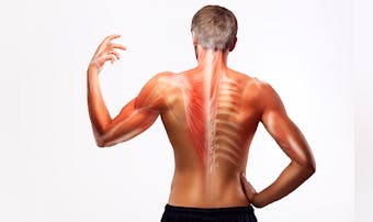 "速筋"と"遅筋"の違いとは?効果...