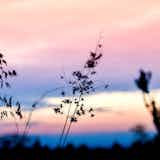 今年話題の「ASMR」とは?音フェチおすすめのYouTube動画17選