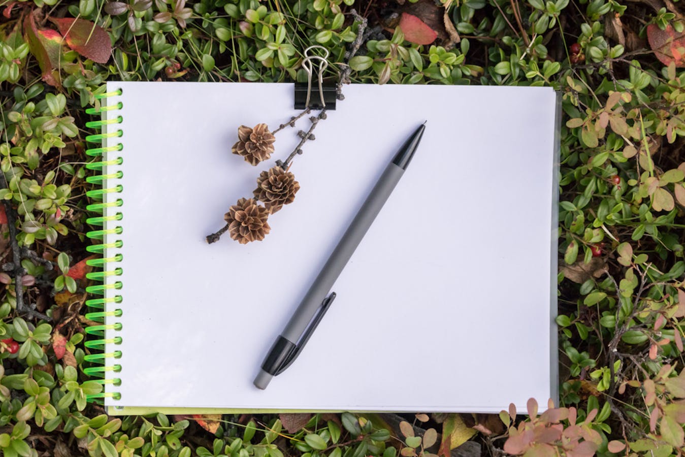 文房具のおすすめ23選 学生に人気の高い便利なおしゃれアイテムを解説 セレクト 文房具のおすすめ23選 学生に人気の高い便利なおしゃれアイテムを解説 セレクト