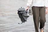 【レディース】折りたたみ傘のおすすめランキ...