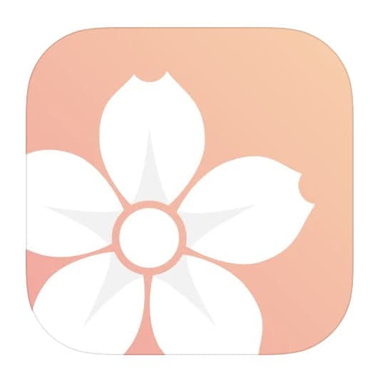 御朱印アプリの人気おすすめ5選 神社仏閣の参拝に役立つ無料アプリとは Smartlog