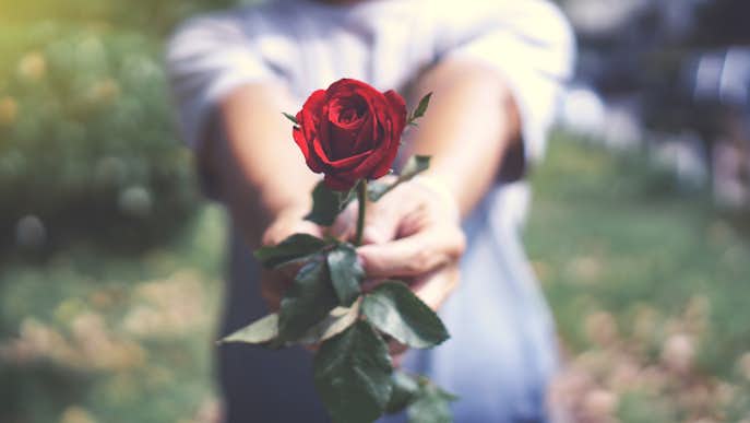 意味 薔薇 本数 バラは本数ごとに意味がある！プロポーズするときの本数