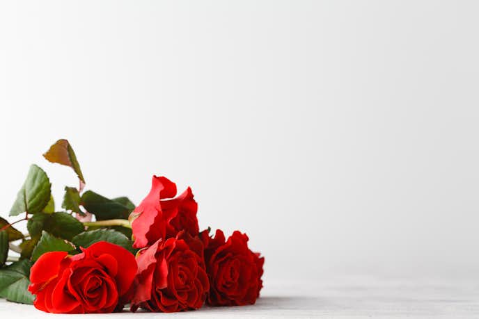 バラの花言葉は本数 色 部位で違う 正しい贈り方と渡す時の注意点を解説 Smartlog