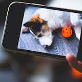犬アプリのおすすめ集。愛犬家向けの人気スマホアプリを徹底比較