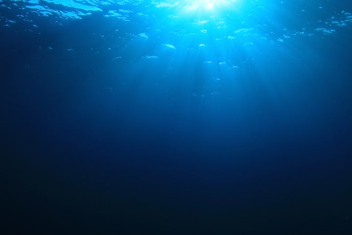 深い海.jpg