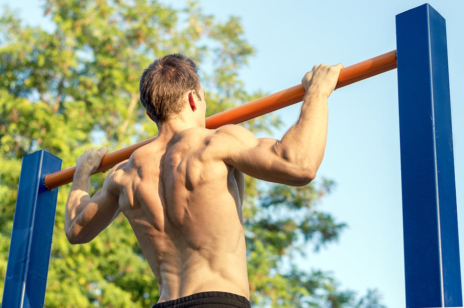 懸垂は三角筋に効果的 肩の筋肉を効率よく鍛えられる筋トレの方法とは 自重トレーニング大全 By Smartlog 懸垂は三角筋に効果的 肩の筋肉を効率よく鍛えられる筋トレの方法とは 自重トレーニング大全 By Smartlog