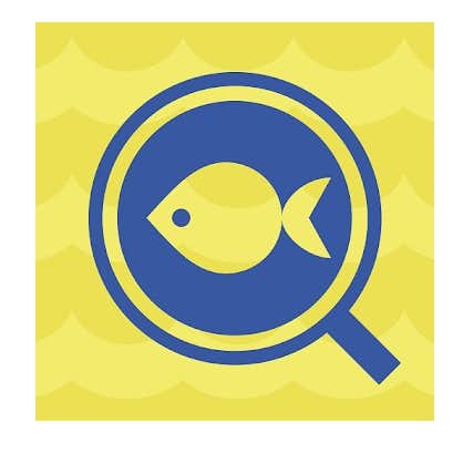 釣りアプリのおすすめ7選 フィッシングに役立つ人気アプリを大公開 Smartlog