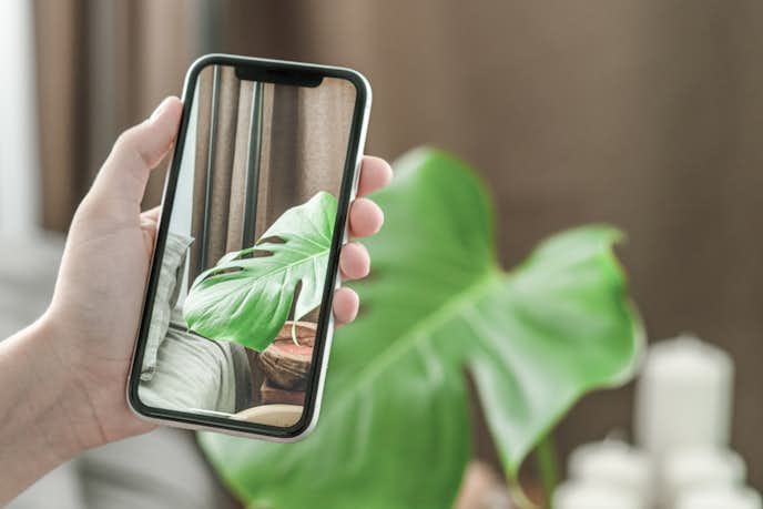 写真縮小アプリのおすすめ5選 画像を綺麗にリサイズできる人気アプリを解説 Smartlog