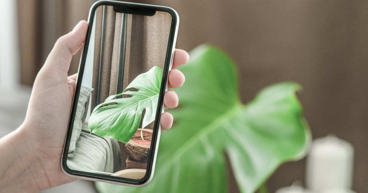 写真縮小アプリのおすすめ5選 画像を綺麗にリサイズできる人気アプリを解説 Smartlog 写真縮小アプリのおすすめ5選 画像を綺麗にリサイズできる人気アプリを解説 Smartlog