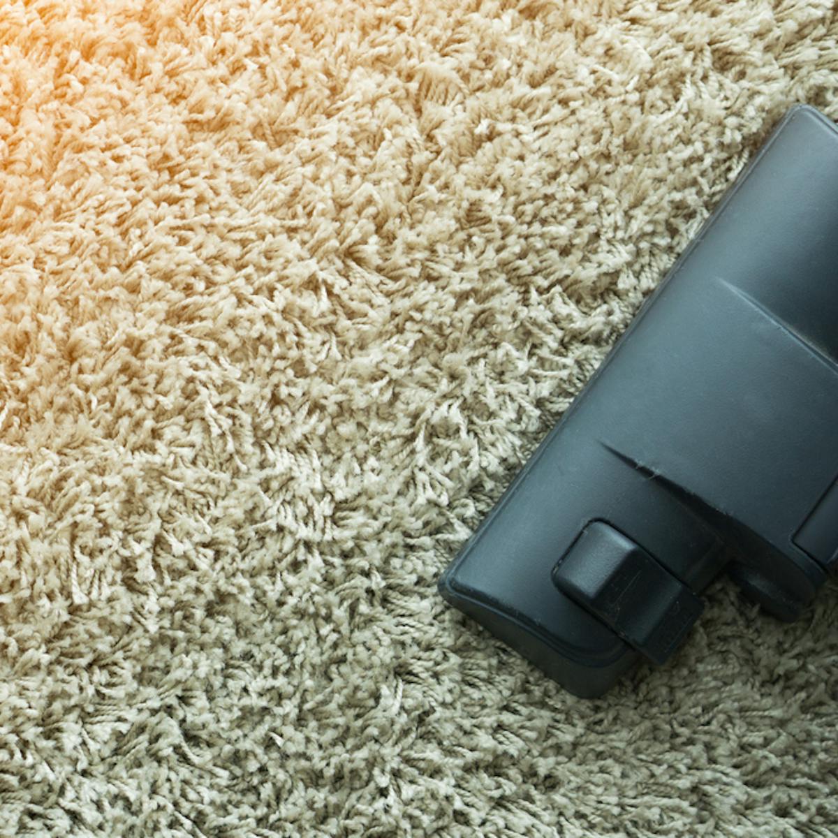 22年12月 絨毯向け掃除機のおすすめランキング カーペットが綺麗になるクリーナーとは セレクト 22年12月 絨毯向け掃除機のおすすめランキング カーペットが綺麗になるクリーナーとは セレクト